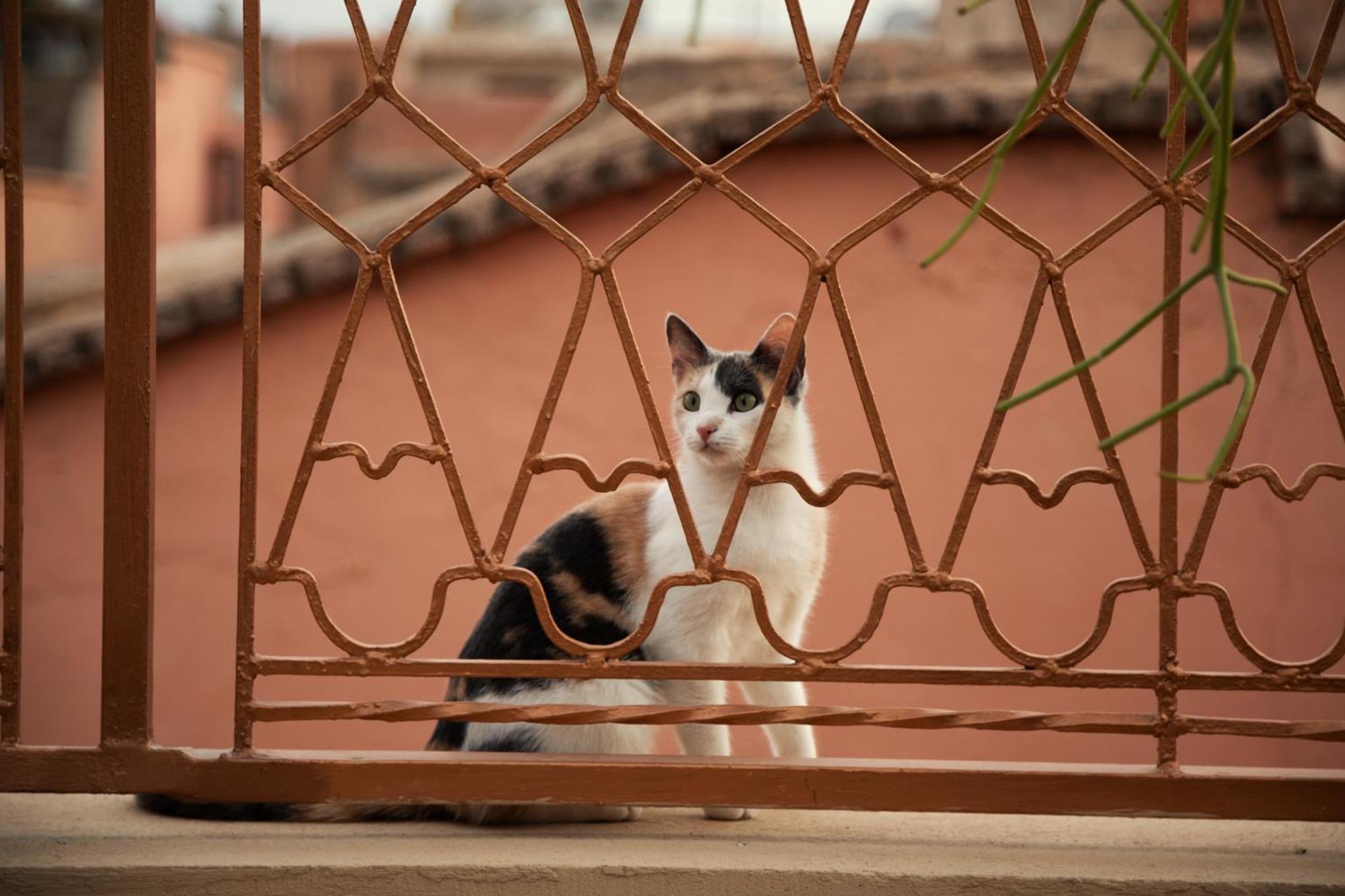 Riad Miss Caracal Марракеш Экстерьер фото